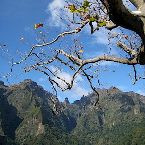 Madeira 2008