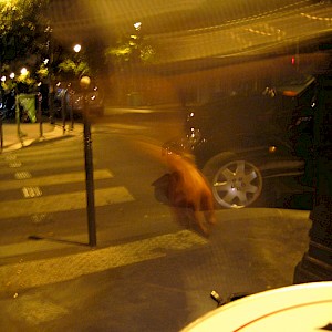 Paris 2009