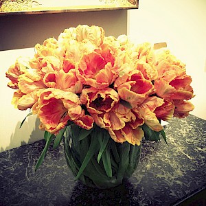 Flowers 2013