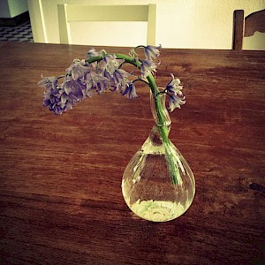 Flowers 2013