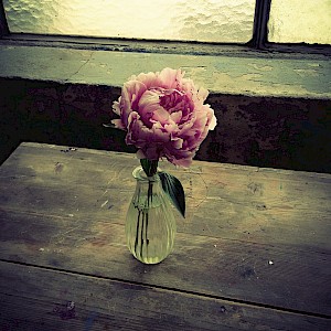 Flowers 2013