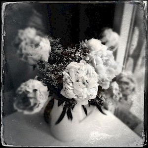 Flowers 2013