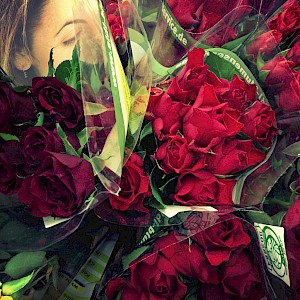 Flowers 2013